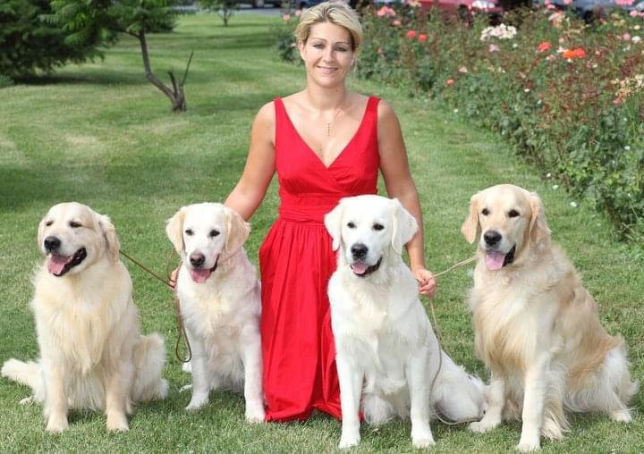 Simona Damian și Golden Retrieverii familiei Parmen Auriu
